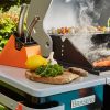 BBQ BI-ENERGY (Gaz et Charbon) – Image 2
