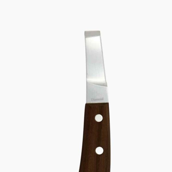 Renette DIAMOND : Large gauche – Image 3